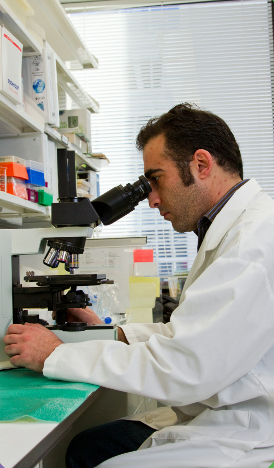 Scientist in lab